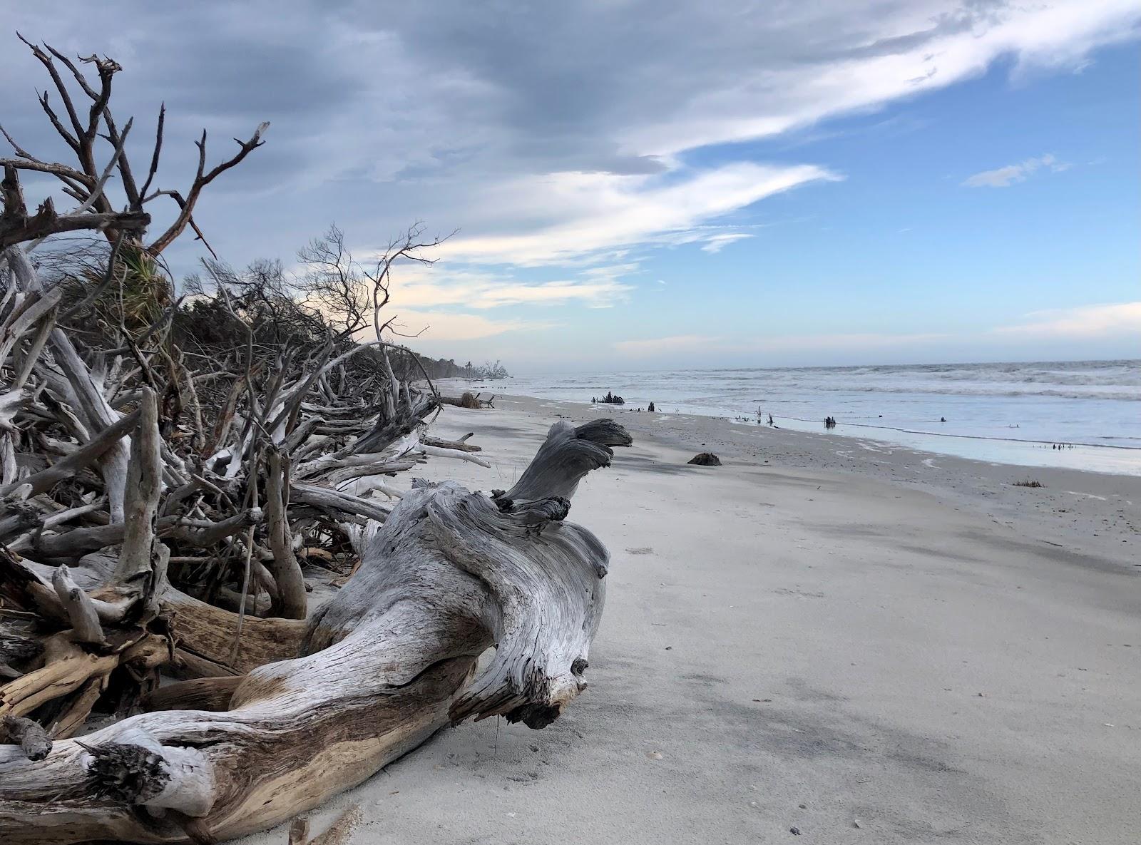 Sandee - Little Talbot Island State Park