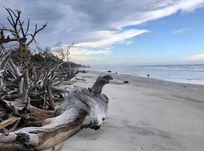 Sandee - Little Talbot Island State Park