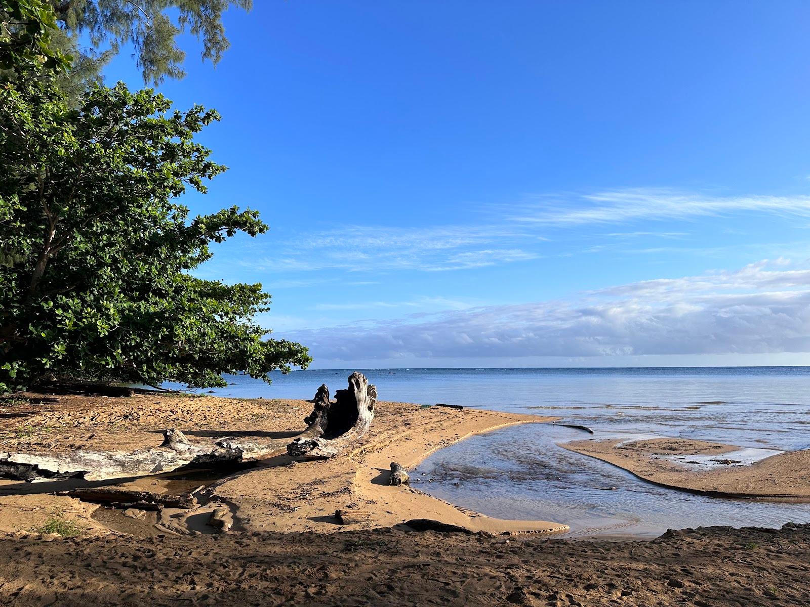 Sandee - Wyllie Beach