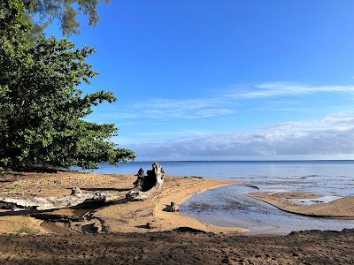 Sandee - Wyllie Beach