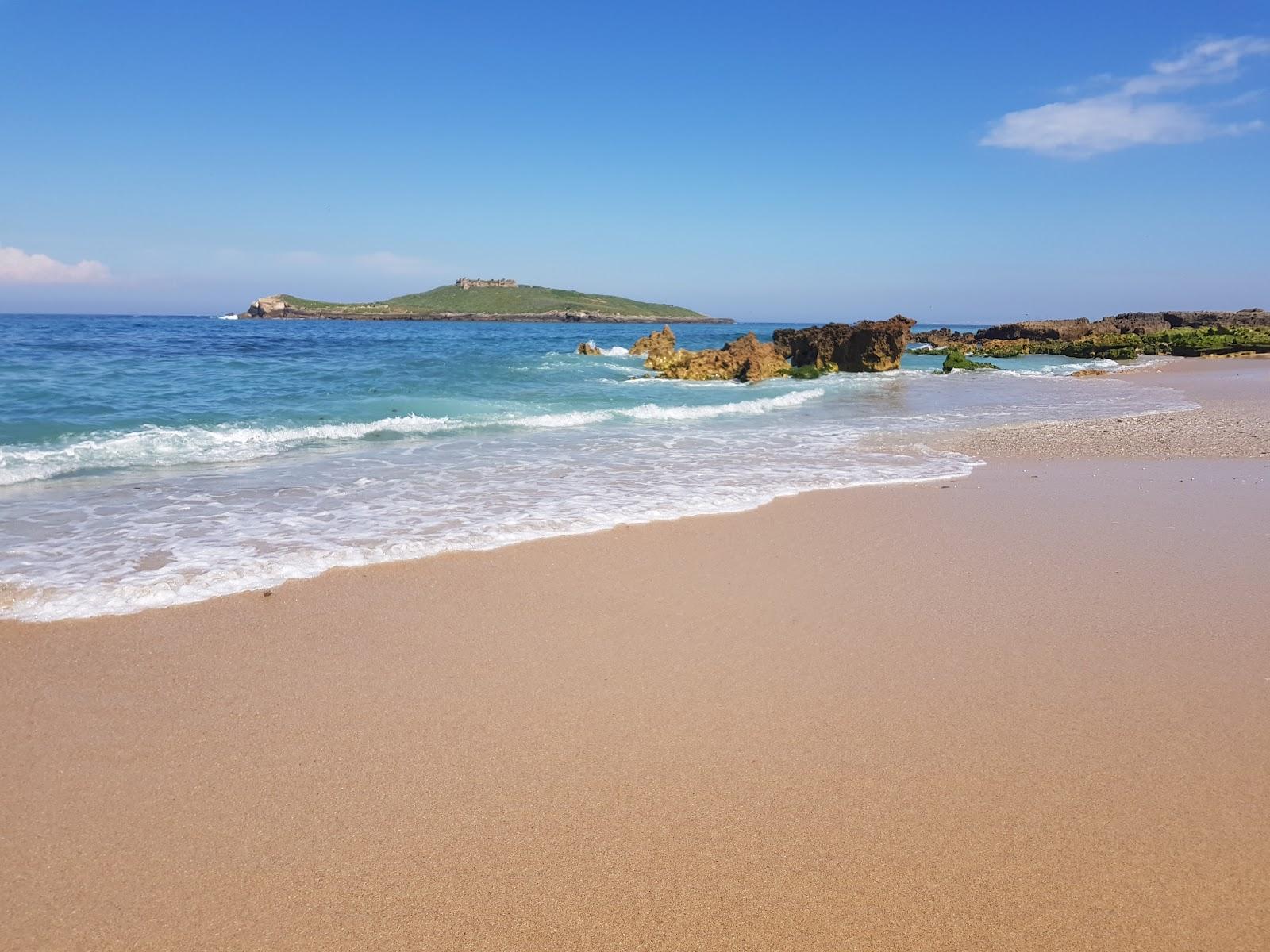 Sandee - Praia Da Ilha Do Pessegueiro