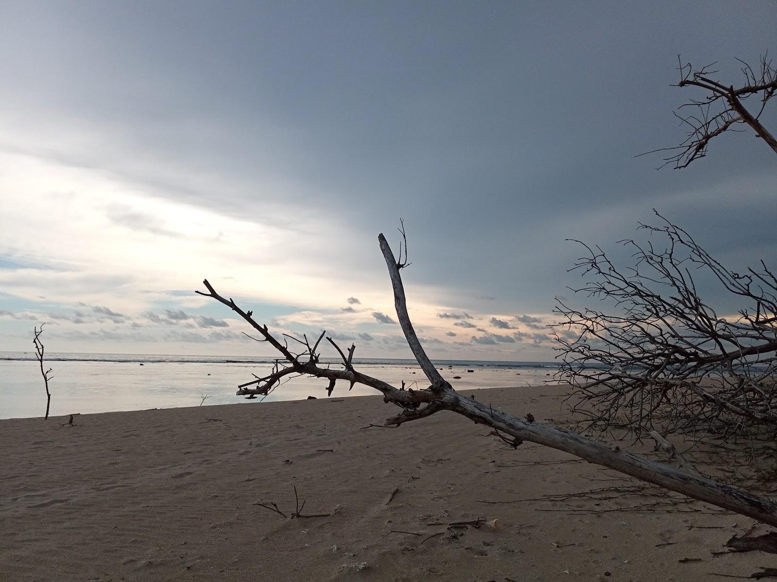 Sandee Pantai Siging