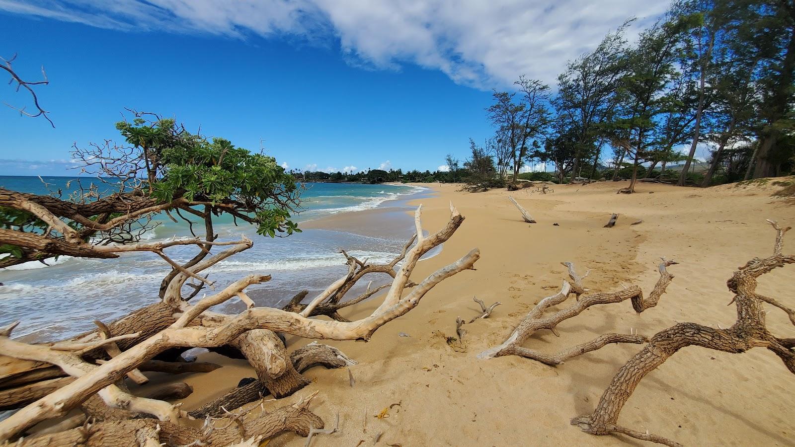 Sandee - Lower Paia Park