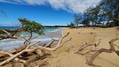 Sandee - Lower Paia Park