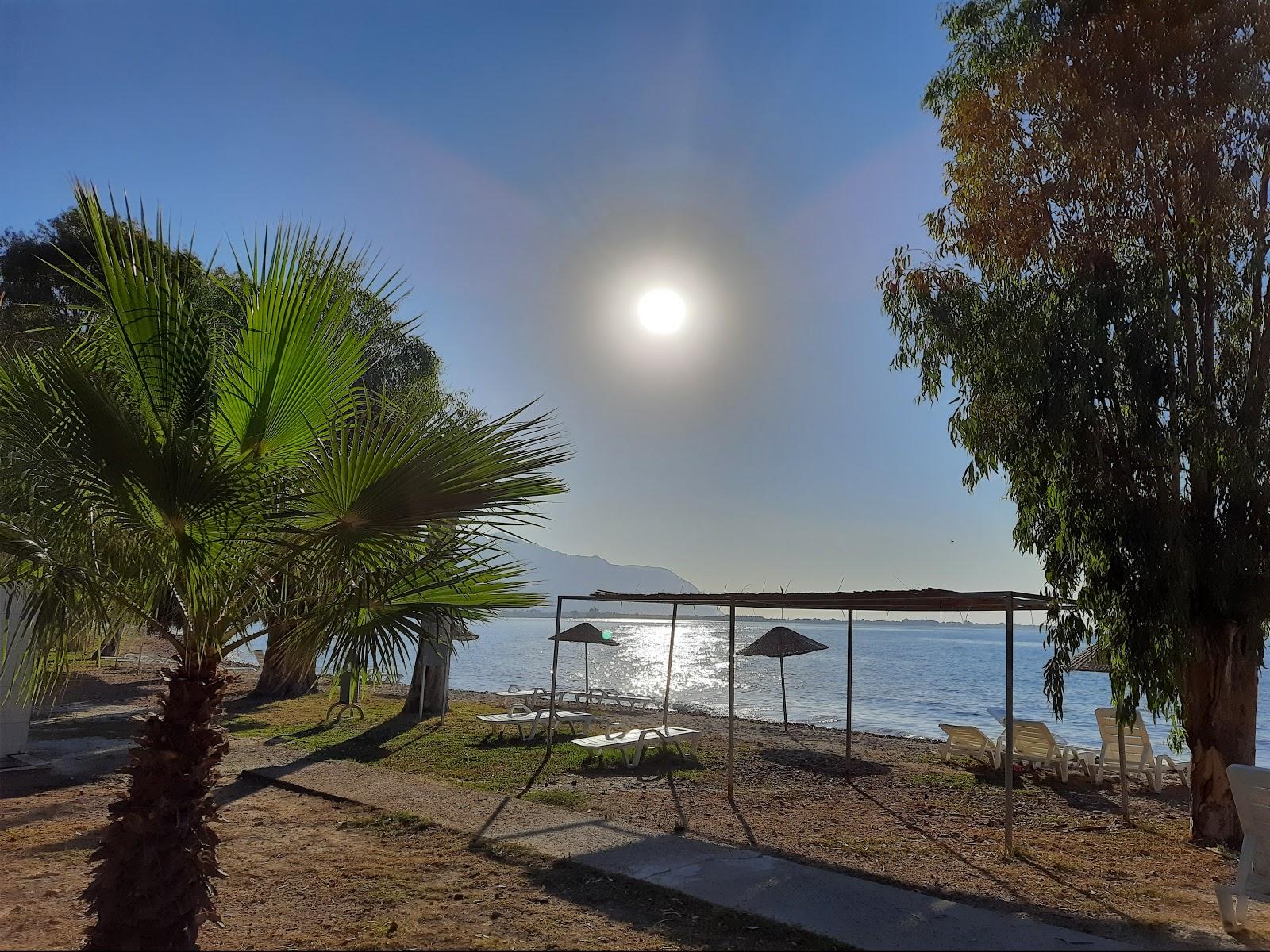 Sandee Kemerkoy Beach