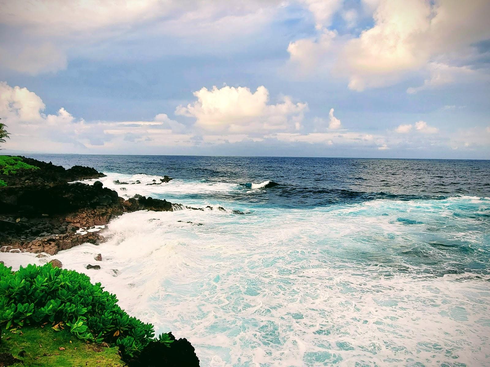 Sandee Kahakai Park Photo