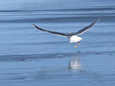 Sandee - Heceta Beach County Park