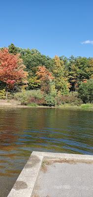 Sandee - Prince Gallitzin State Park - Muskrat Beach