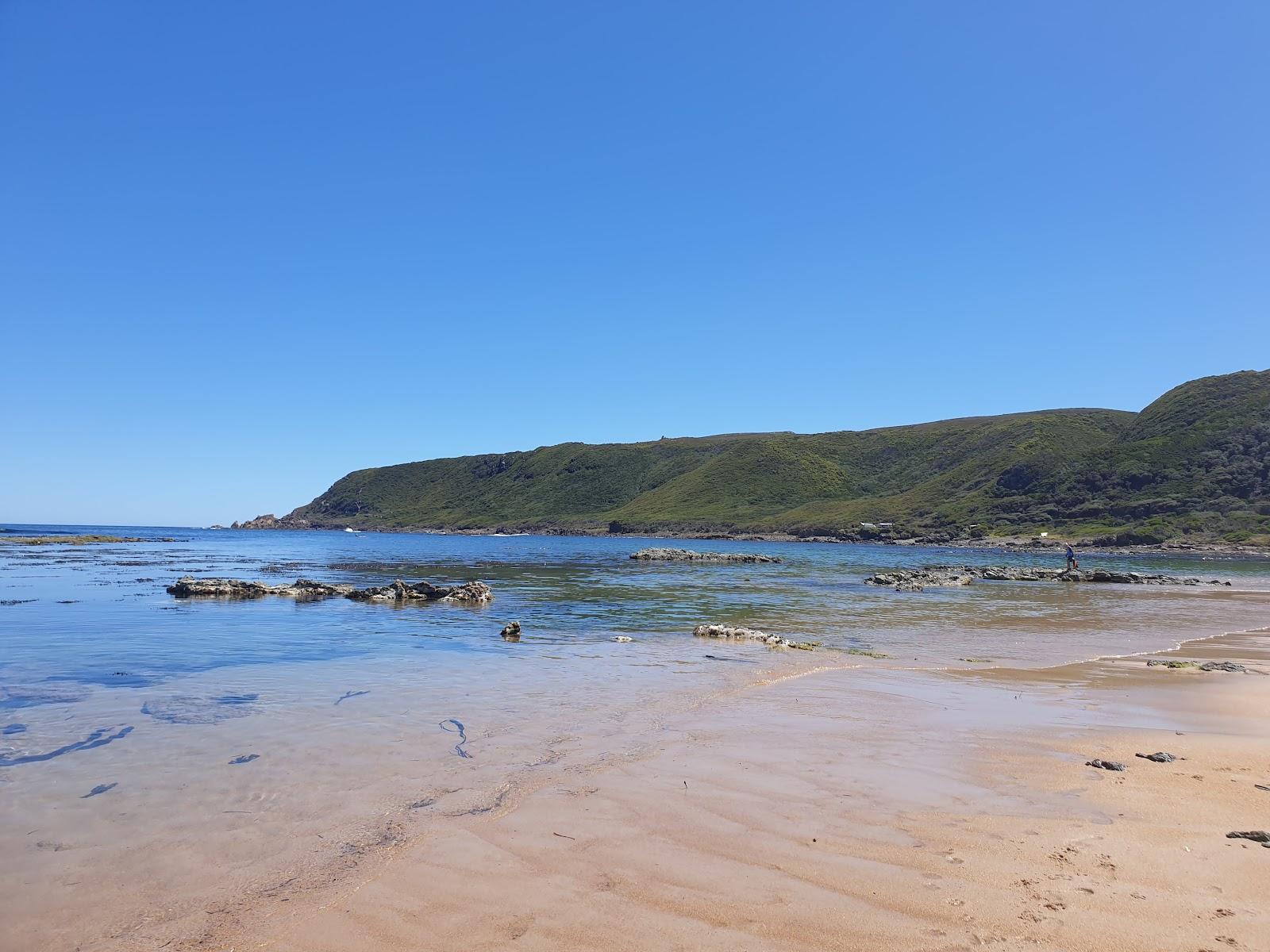 Sandee Trial Harbour Beach Photo