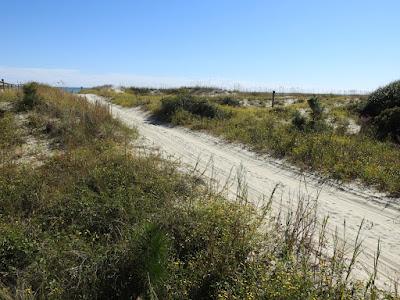 Sandee - Kiawah Beachwalker Park