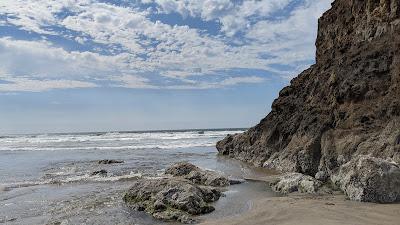 Sandee - Neskowin Ghost Forest