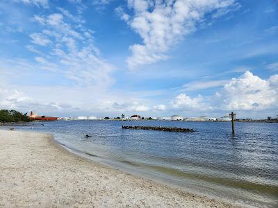 Sandee - Davis Islands Beach