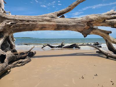 Sandee - Boneyard Beach