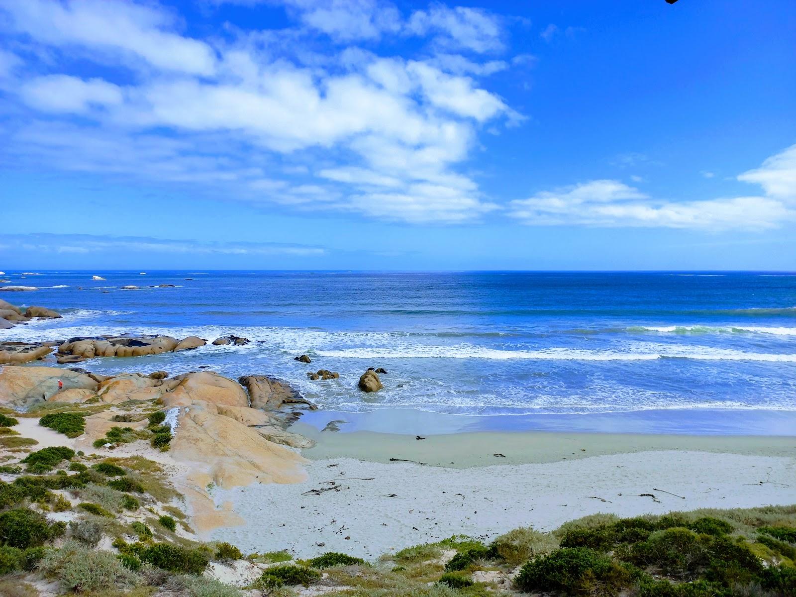 Sandee Bek Bay Beach Photo