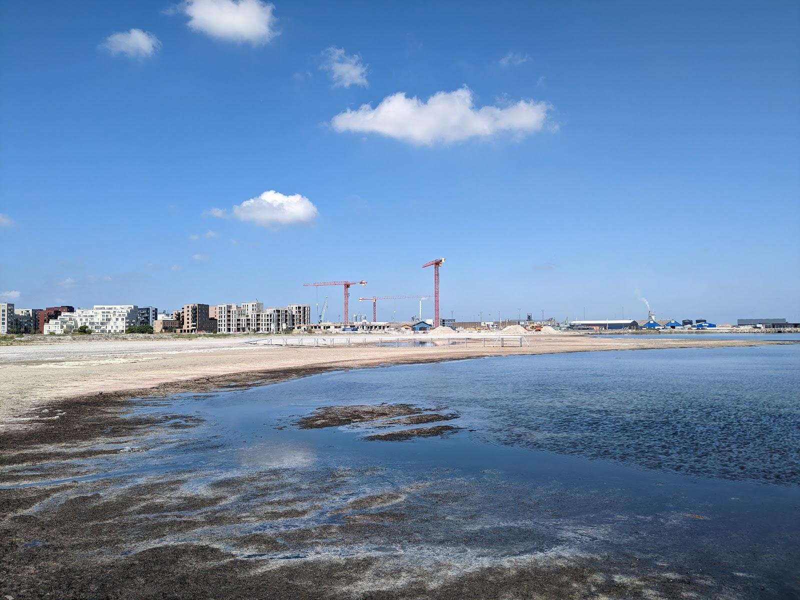 Sandee Køge Søndre Strand Photo