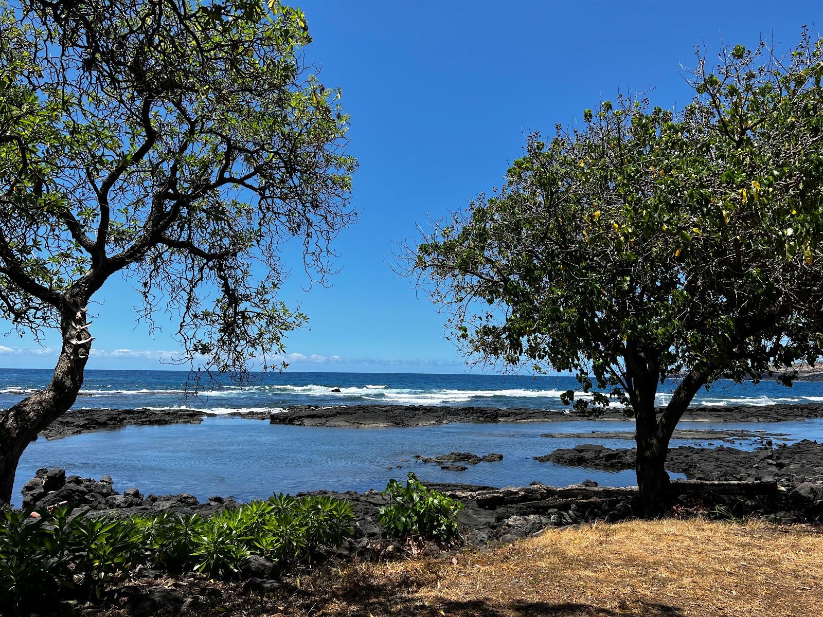 Sandee - Whittington Beach Park