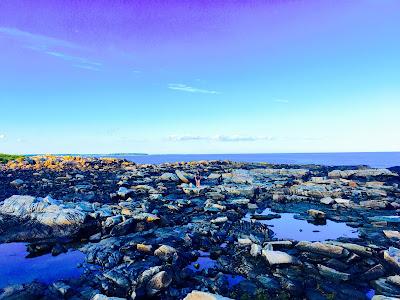 Sandee - Cape Porpoise Stage Island State Park