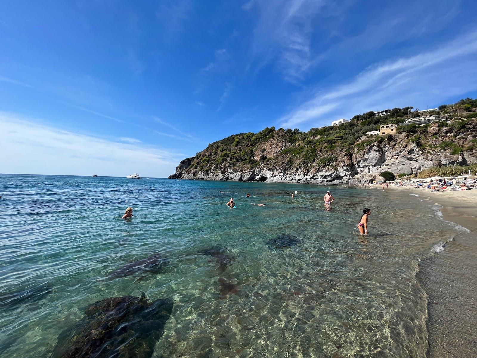 Sandee Spiaggia Arenile Di San Francesco