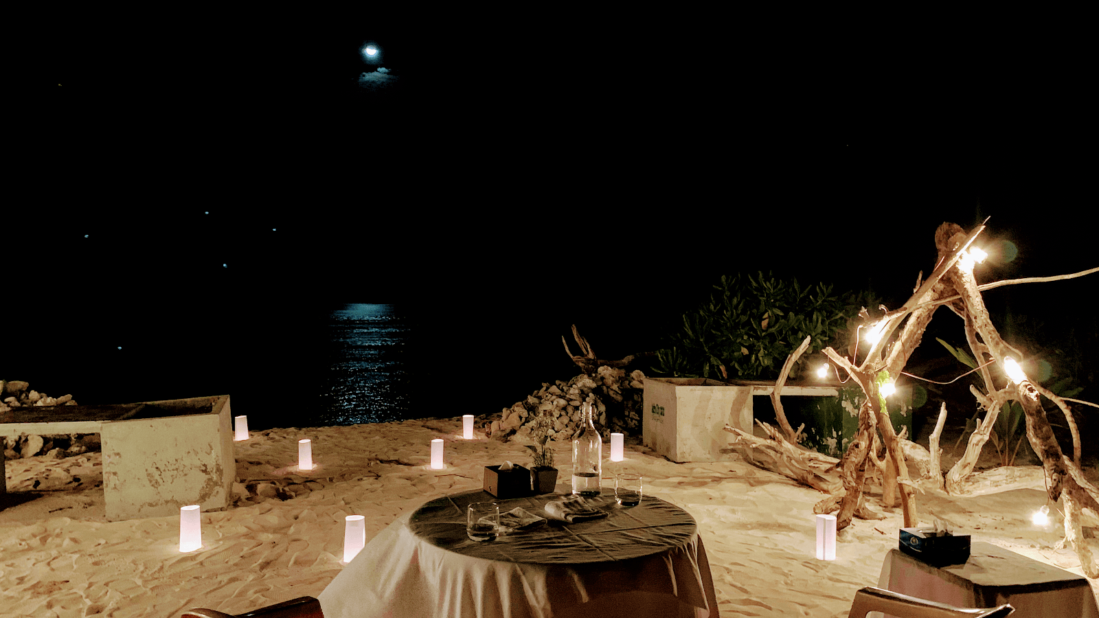 Sandee Bloomy Beach