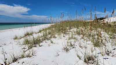 Sandee - Topsail Hill Preserve State Park Beach