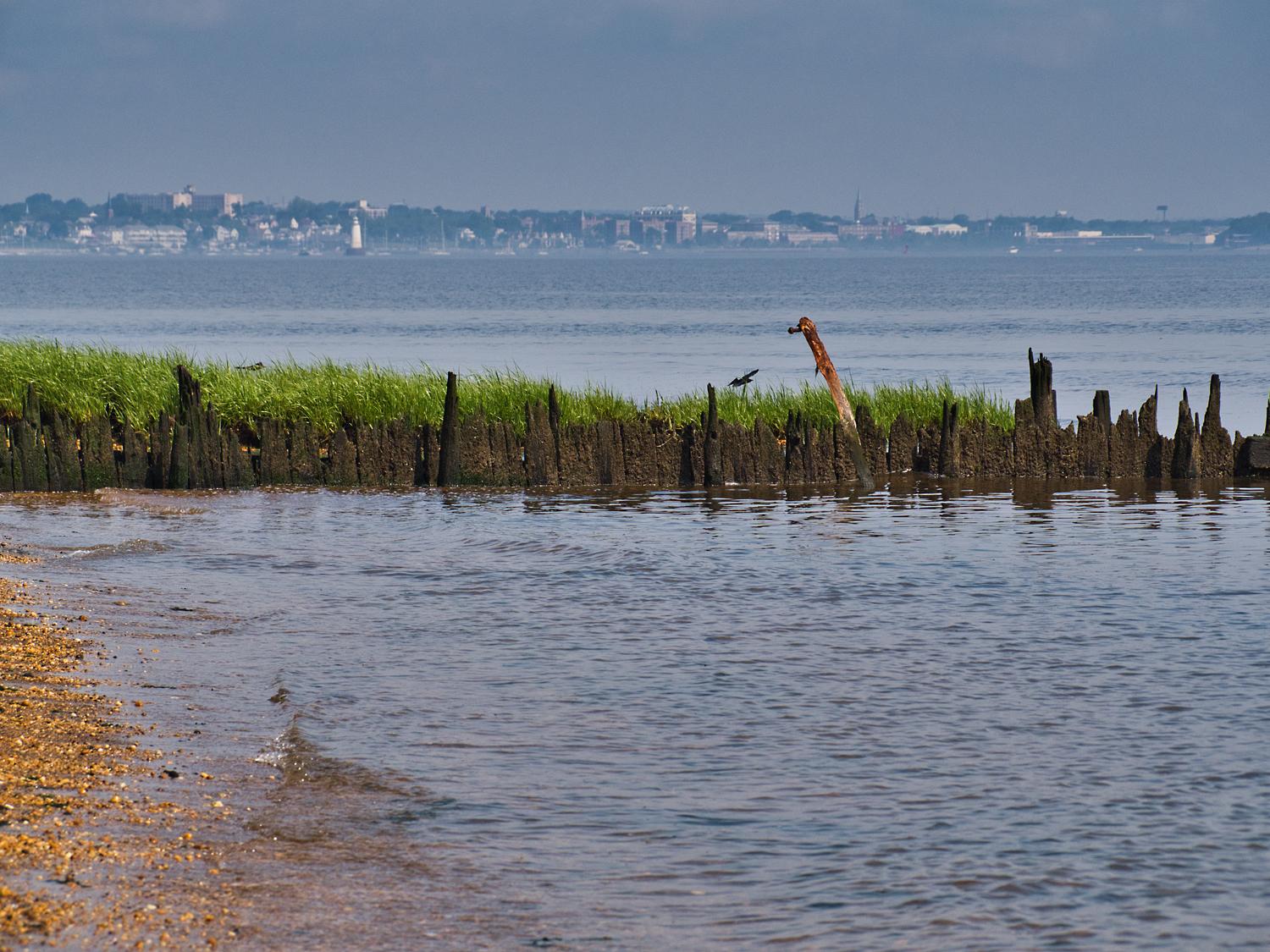 Sandee - Seidler Beach