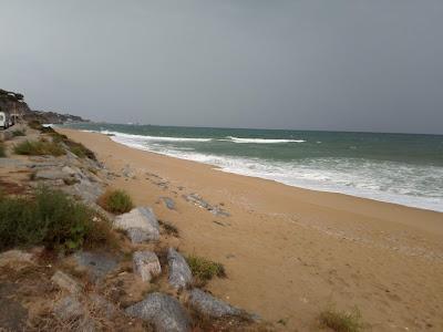 Sandee - Platja Del Bassiot / Platja Del Passeig Del Mar