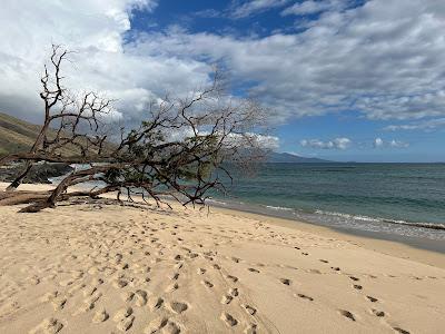 Sandee - Ukumehame Beach Park