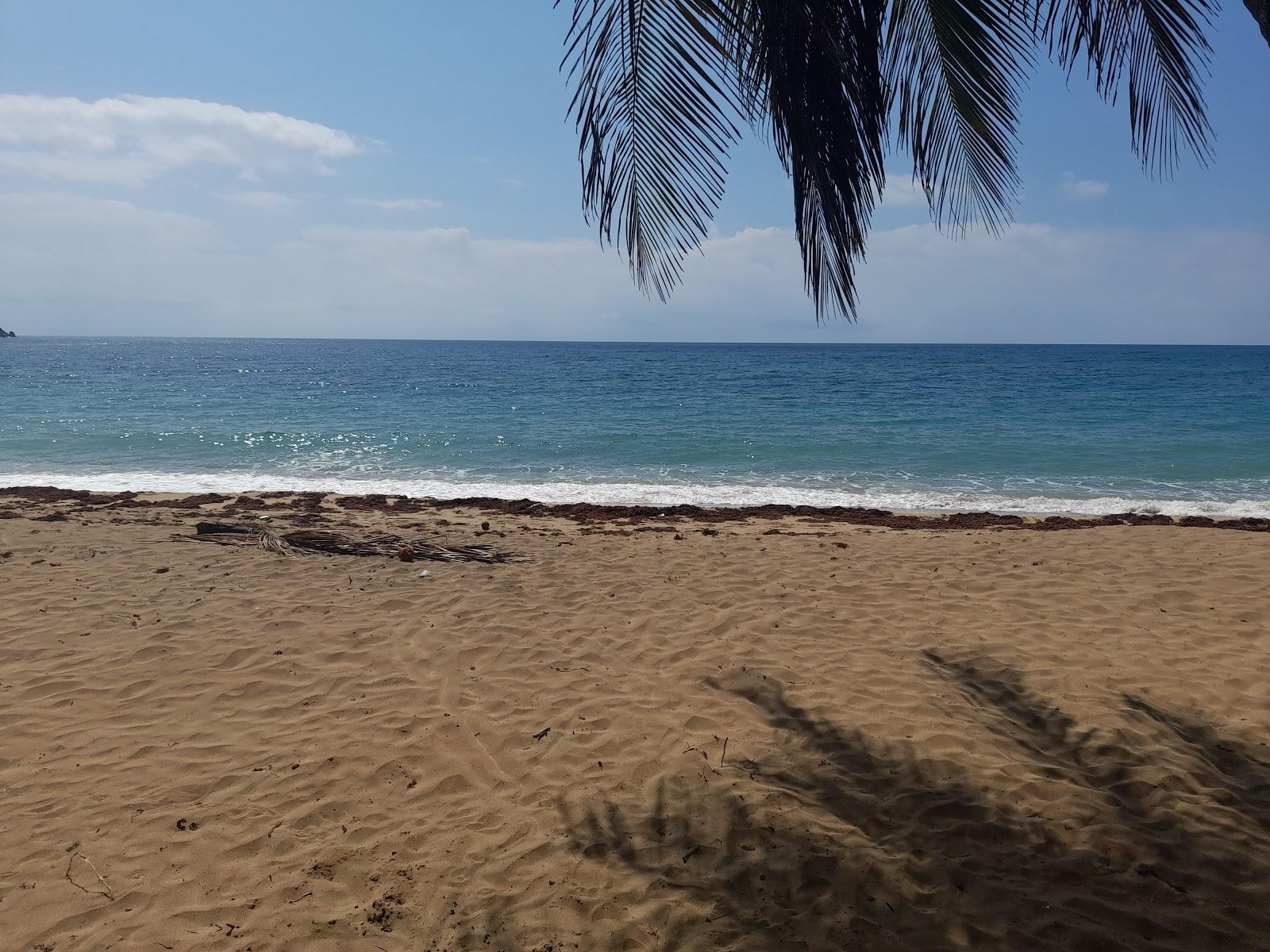 Sandee Los Pinos Beach