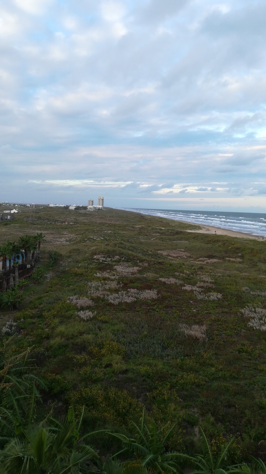 Sandee Del Mar Beach Photo