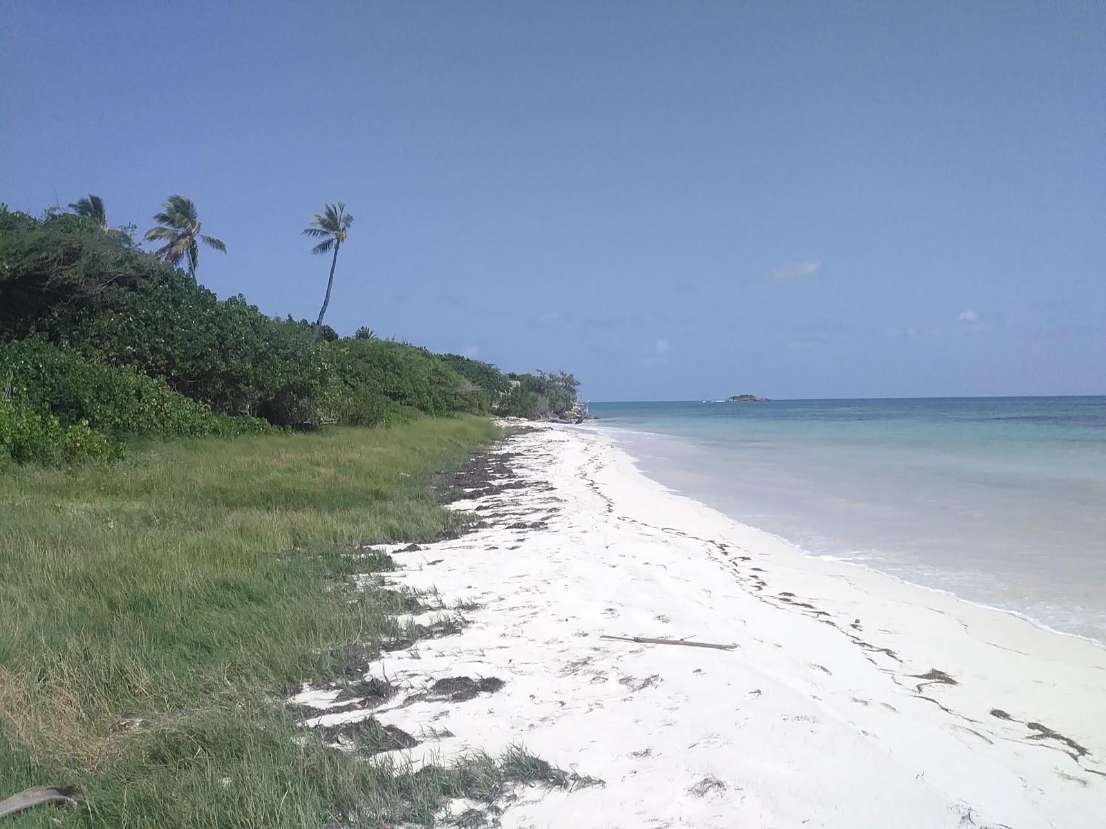 Sandee Jabberwock Beach