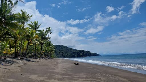 Sandee Playa De La Cuevita Photo