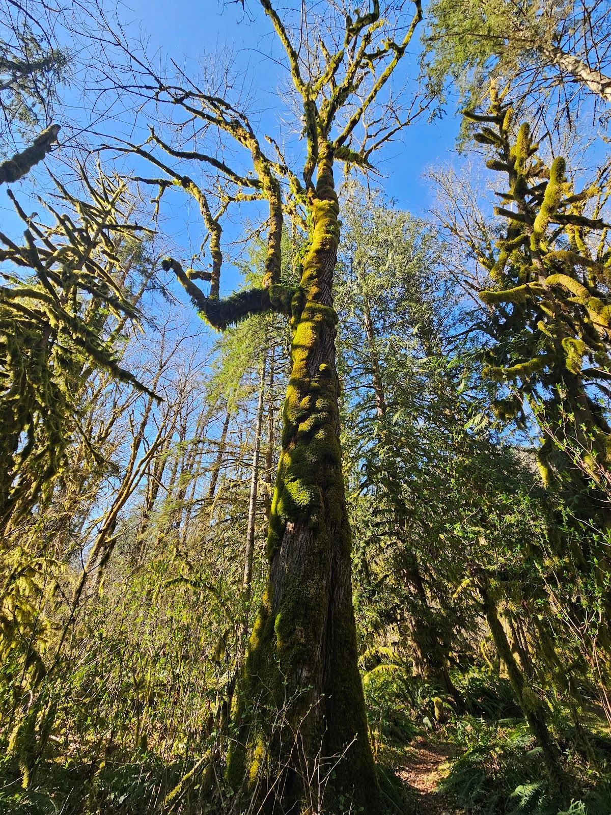 Sandee - Tilton River State Park