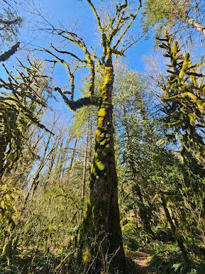 Sandee - Tilton River State Park