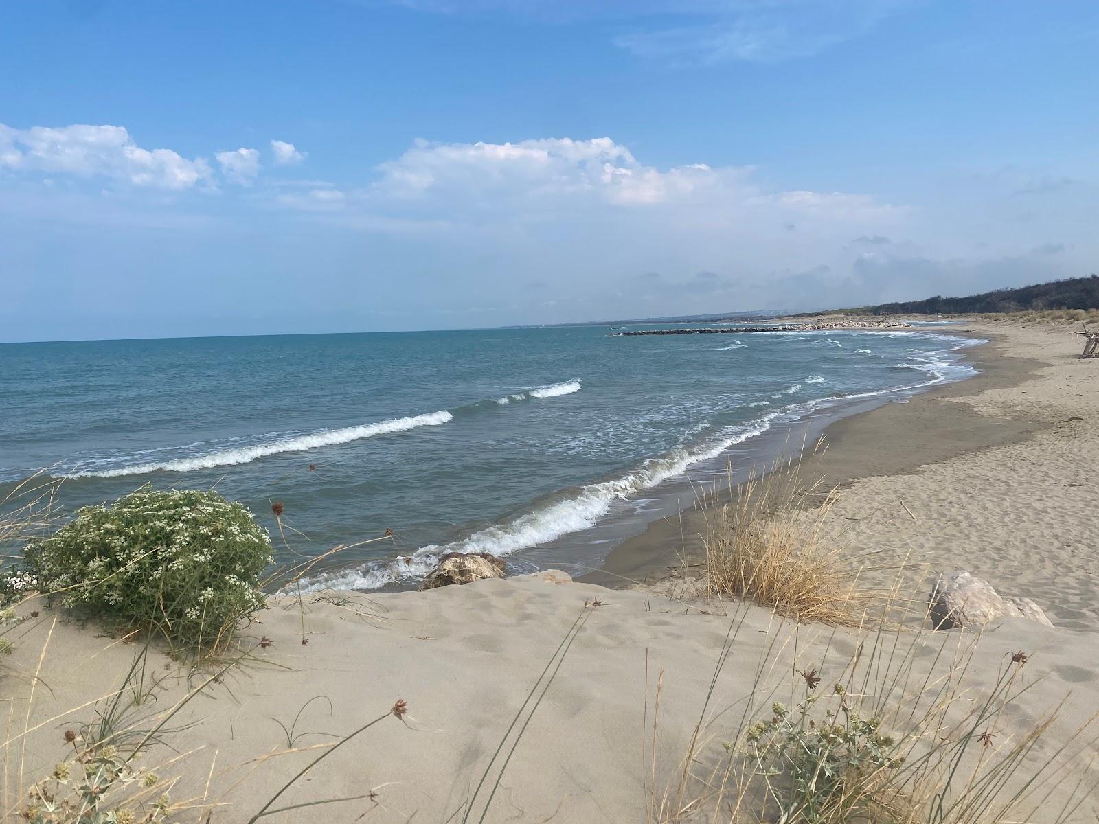 Sandee Campomarino Beach