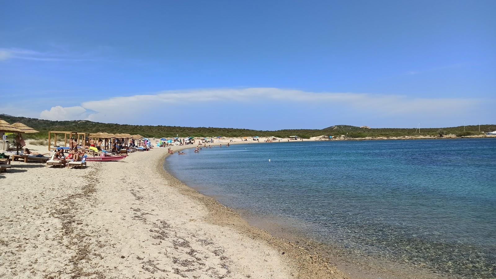 Sandee Spiaggia Di Razza Di Junco