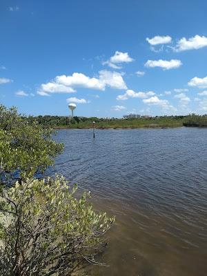 Sandee - Gamble Rogers State Park