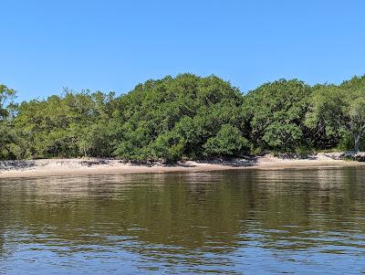 Sandee - Stono River - Wolf Island