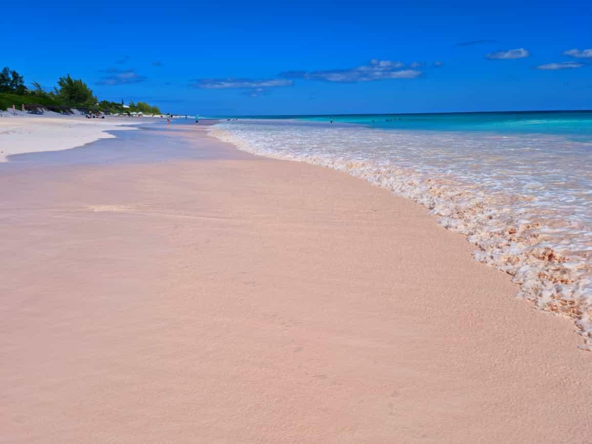 Sandee - Pink Sands Beach