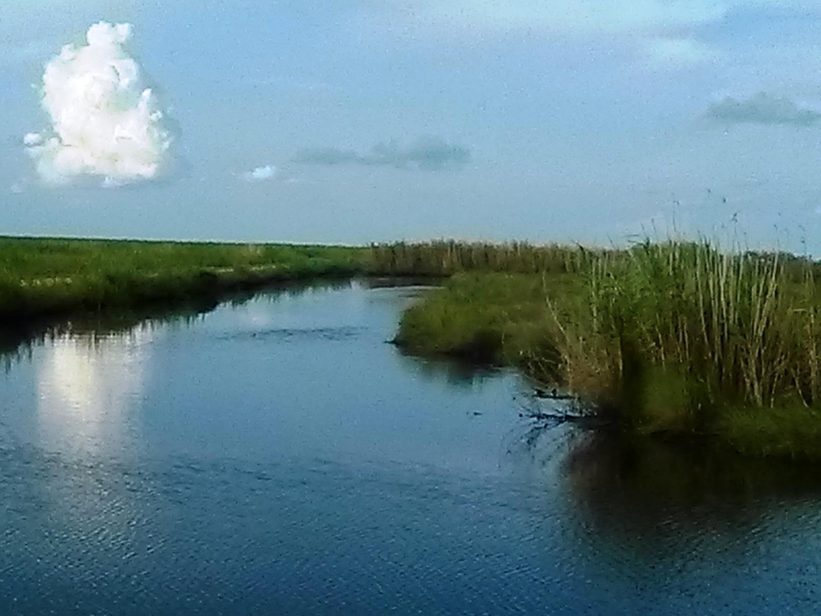 Sandee Mcfaddin National Wildlife Refugees Photo