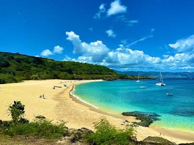 Sandee - Waimea Bay Beach