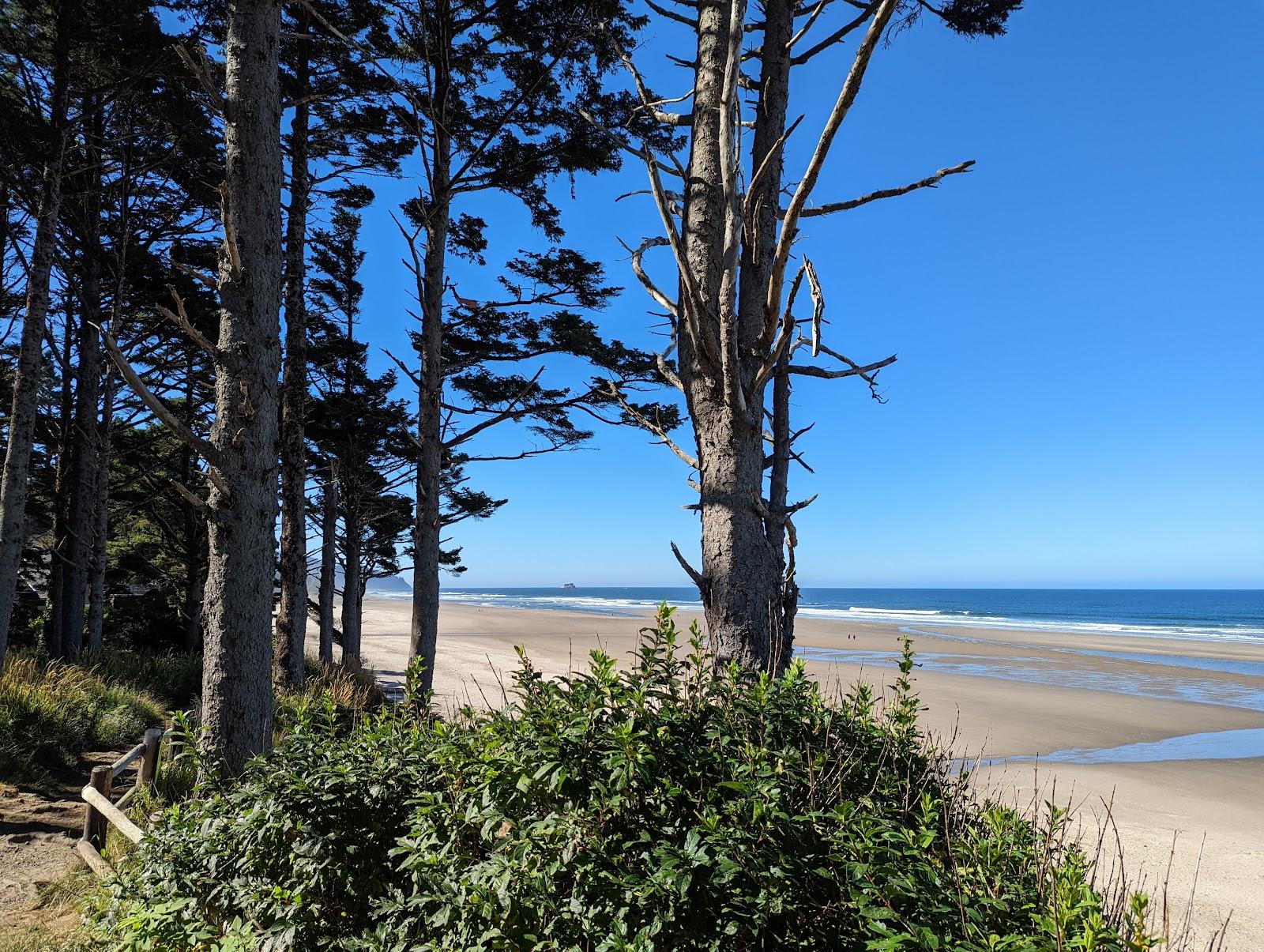 Sandee - Arcadia State Park Beach