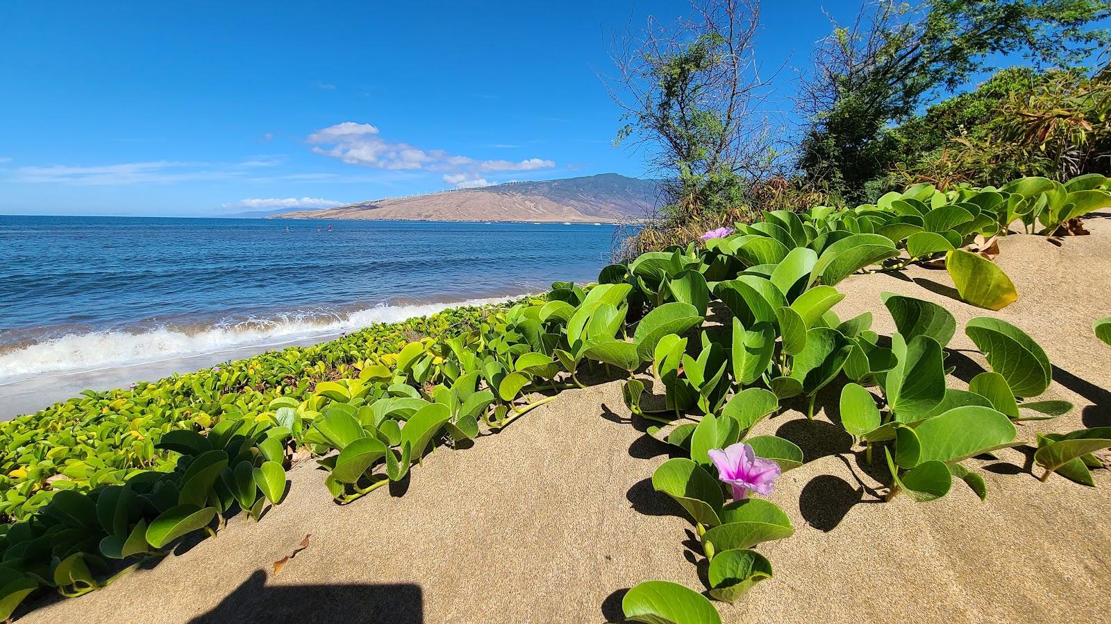 Sandee - Mai Poina 'Oe Ia'U Beach