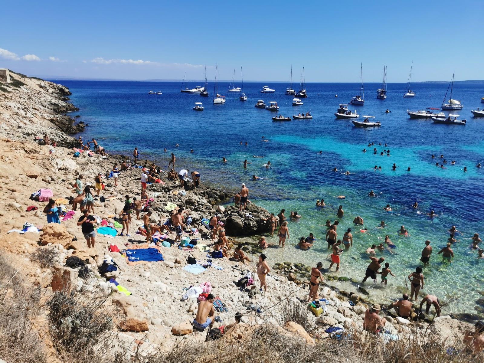 Sandee Spiaggia Di Cala Fredda