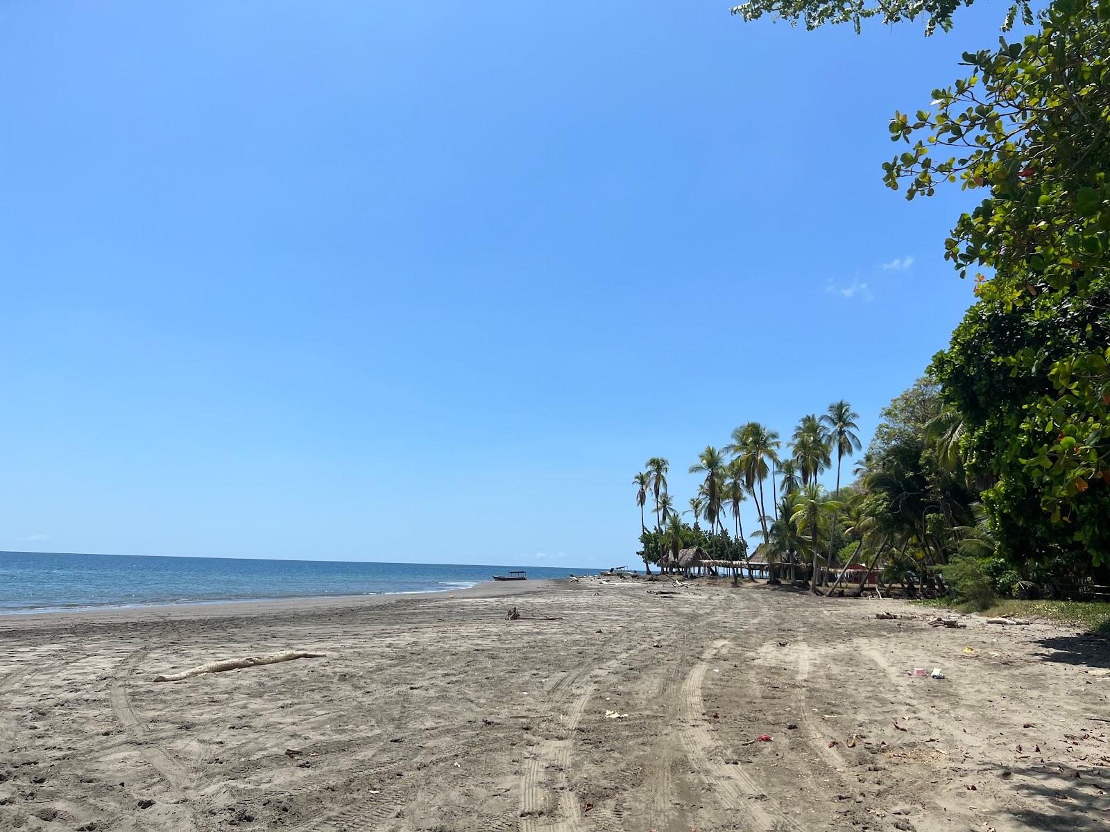 Sandee Playa Las Mellizas