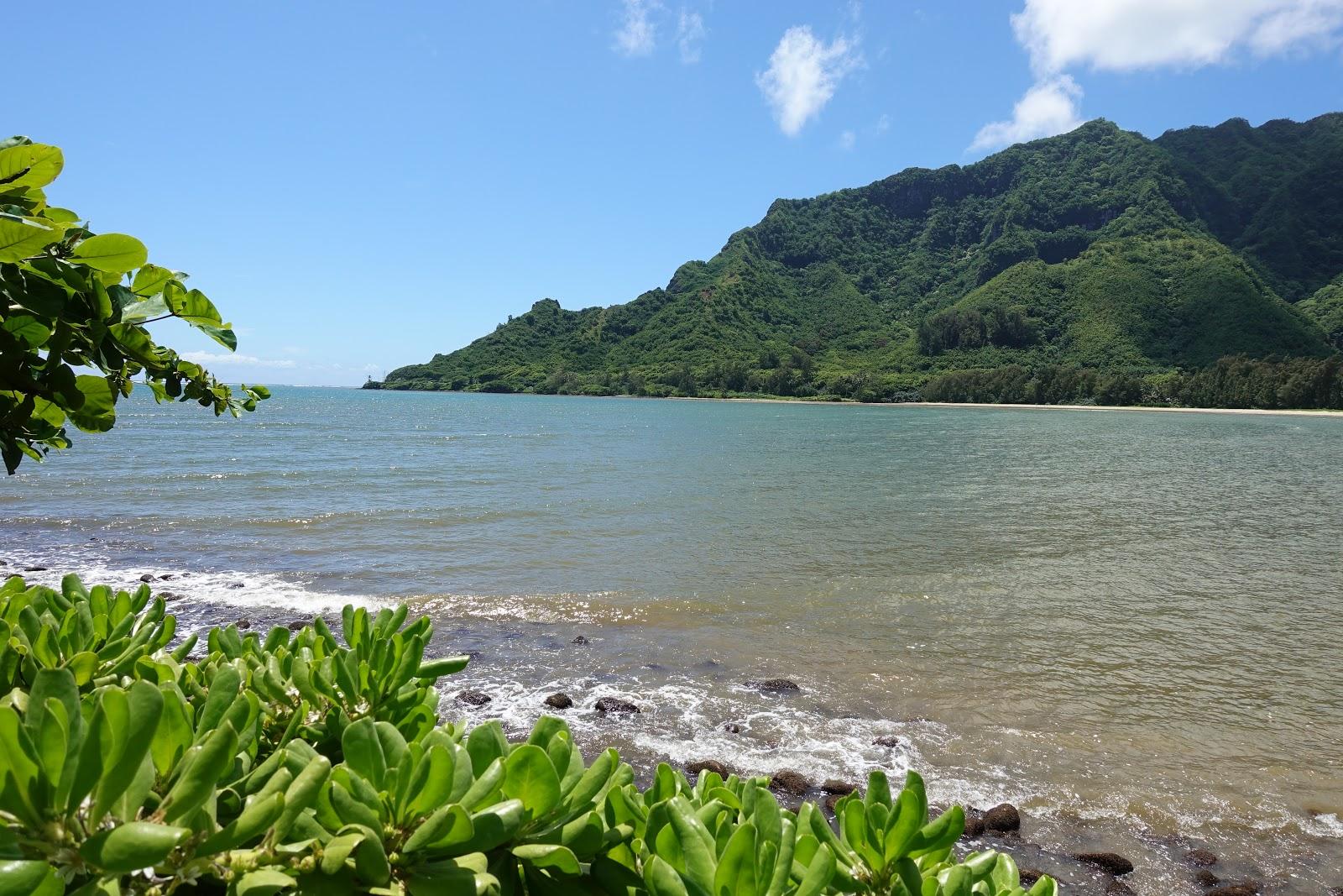 Sandee Kahana Bay Beach Park Photo