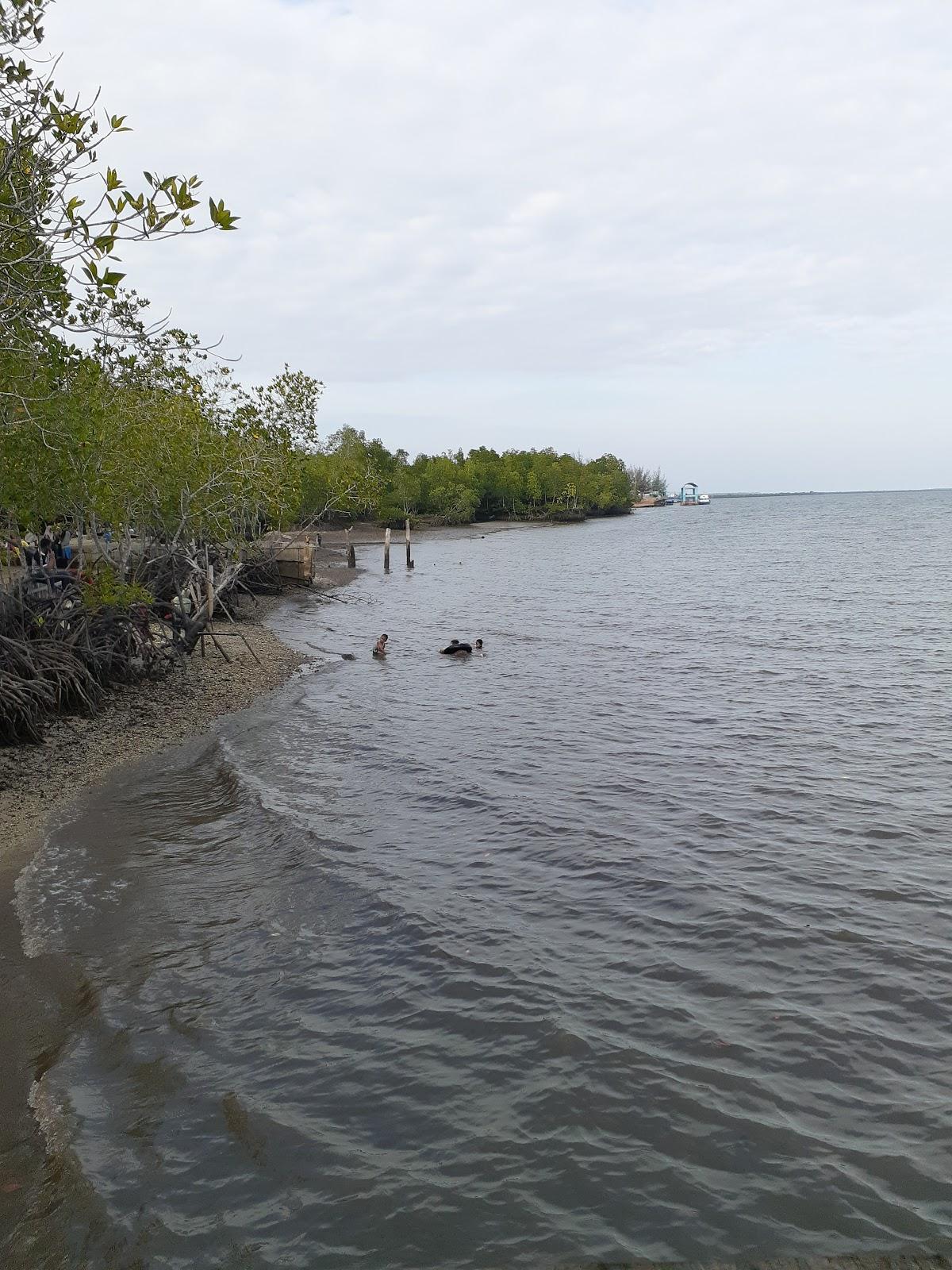 Sandee Wisata Pantai Buatan Kuala Langsa