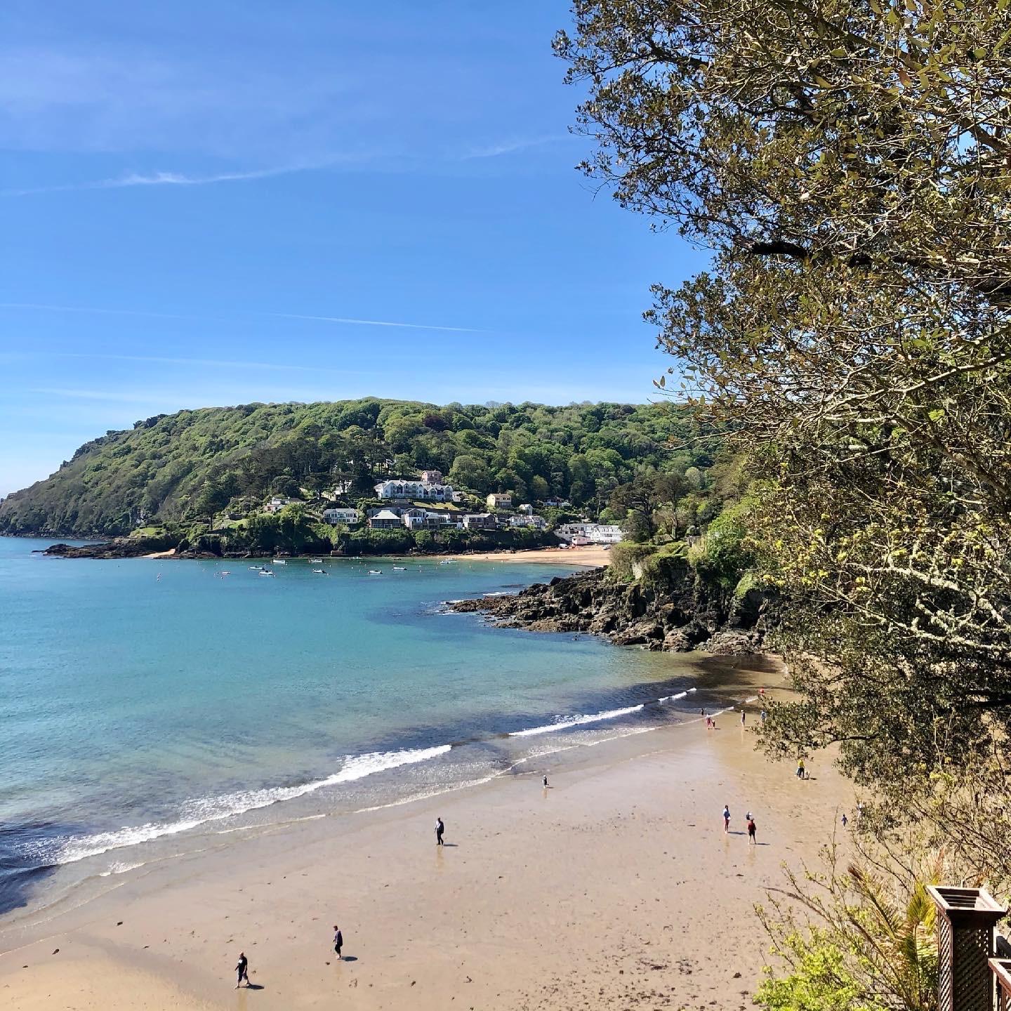 Sandee Salcombe North Sands Beach Photo