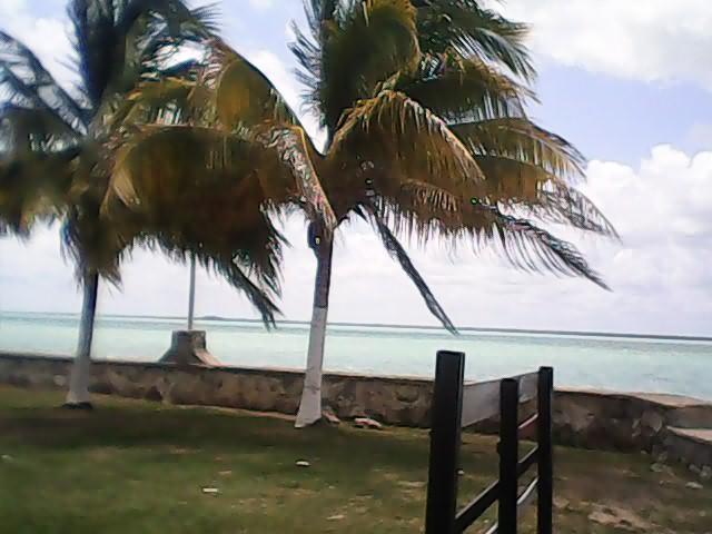 Sandee Maya Beach Corozal Belize
