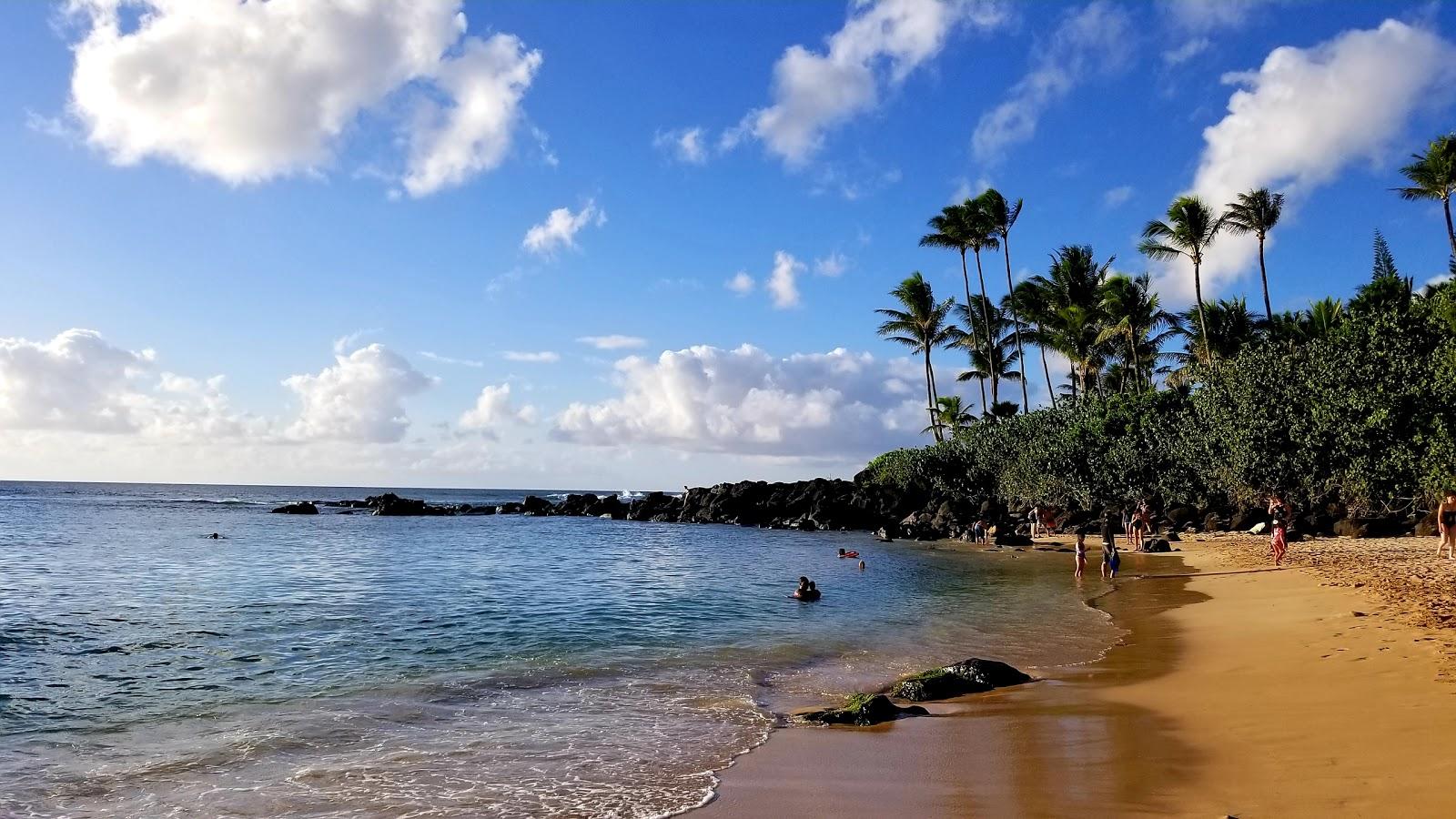 Sandee - Turtle Bay Beach