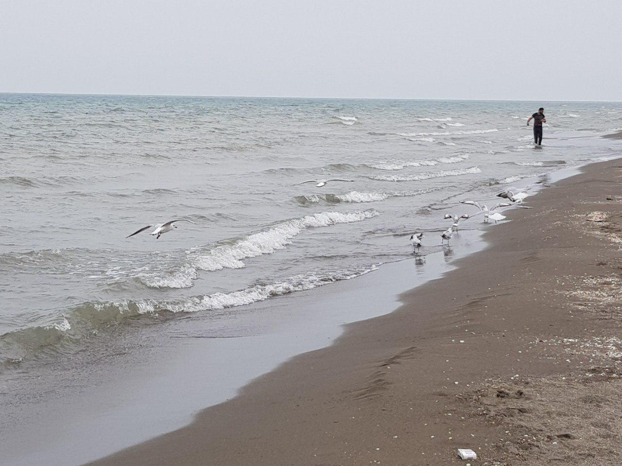 Sandee Beach Chaboksar